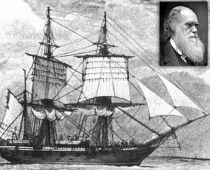 darwin_beagle_historia