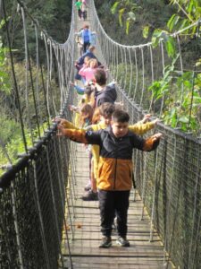 WhatsApp Image 2025-10-27 at 09.12.50 (1)