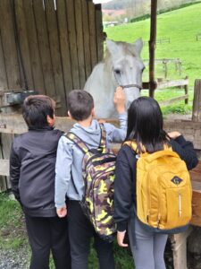 WhatsApp Image 2025-10-27 at 09.12.50